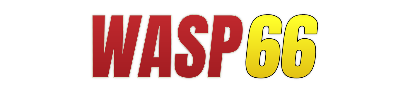 wasp66